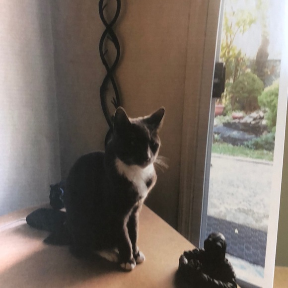 Meet your Posher, Dani - Picture 1 of 1